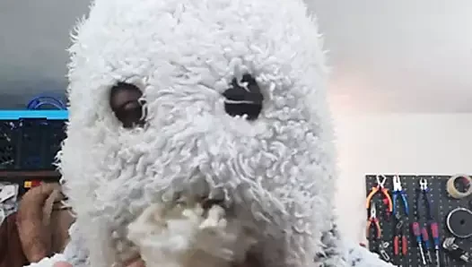 furgag2