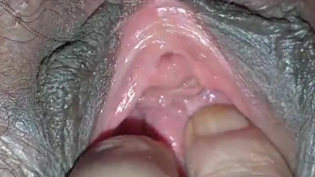 FILIPINO COUGARS FOR WHITE COCKS