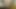 JOI Horny Slut Fucks BBC Cum Countdown