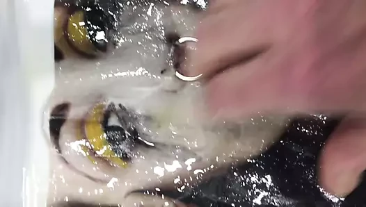deldi emo goth fahişe için Cumtribute
