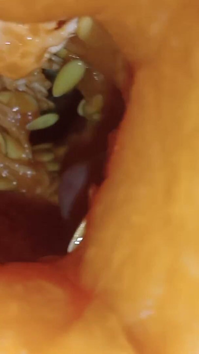 Cum into melon | Clip 1
