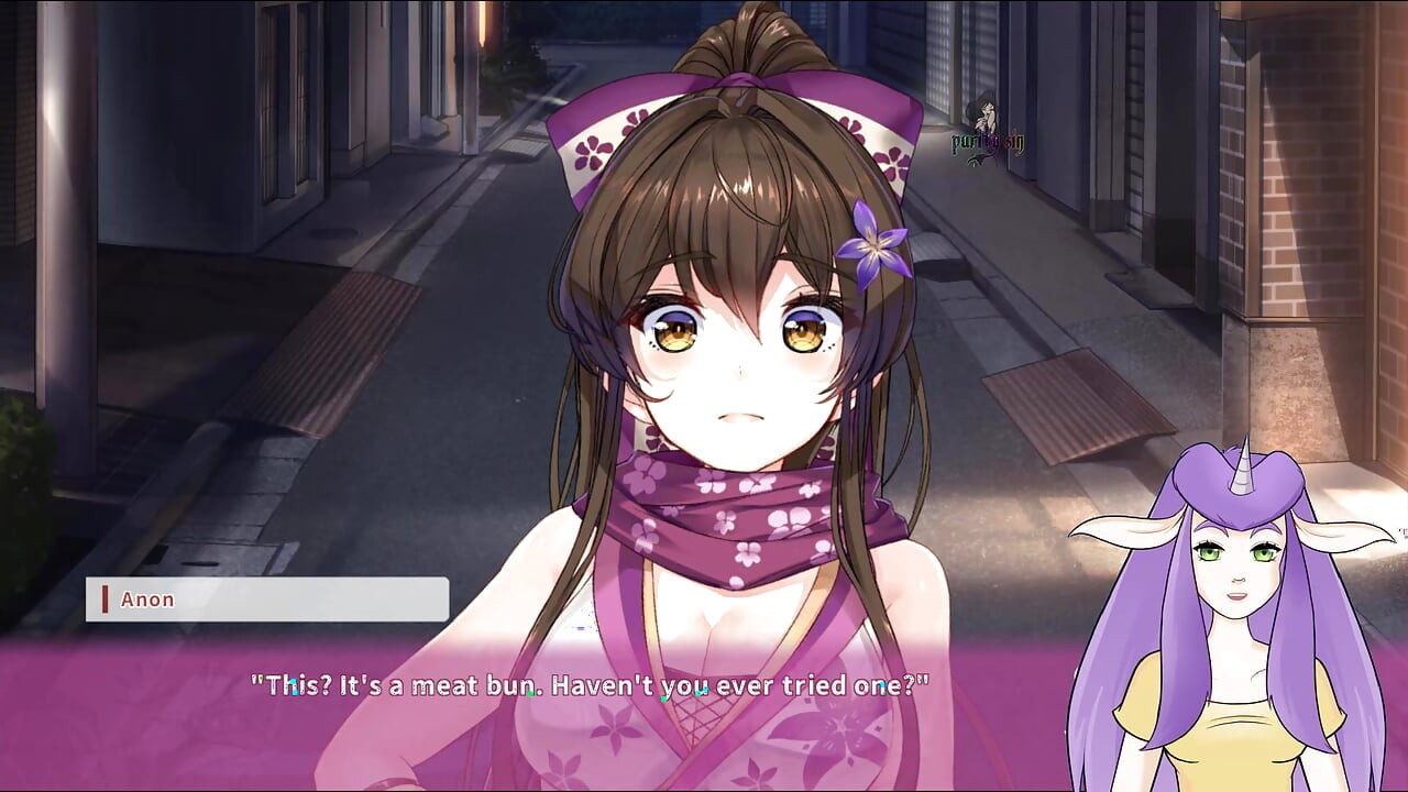 NinNin Days Uncensored Guide Part 1