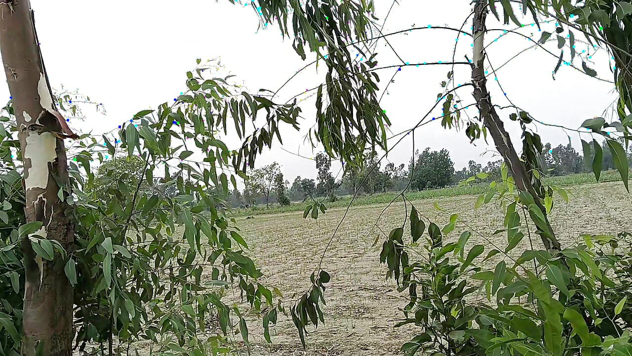 Meri gand ki chudai mere land ka Mal nikaalte hue