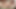Tattooed Trans Girl Cum Playing with Her Hole and Dick