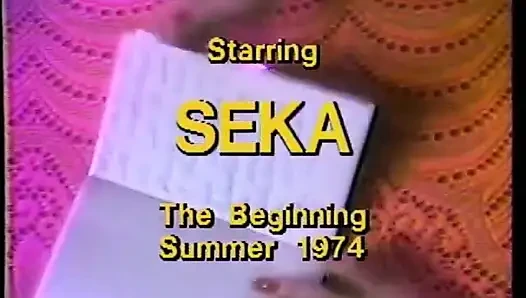 Seka трахают в сисечки