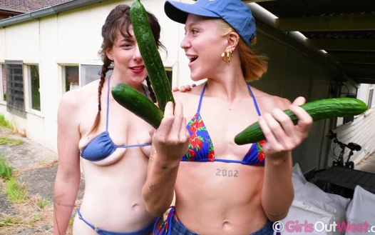 Behaarte brünette und rasierte blondine lecken sich und ficken gurke