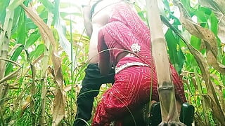 Sister-in-law sucked cock in the field and fucked hard