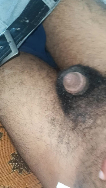 Moj kurac je dlakav, dođi me jebati.