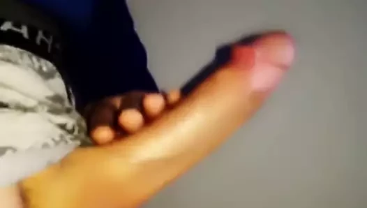 Büyük beyaz horoz çekim yük için bir arkadaş