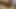 Yaramaz orta yaşlı seksi kadın prezervatifsiz iki yarak alıyor