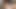 Monster cock Asian shemale ladyboy Polla gets fucked from ass to mouth