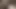 Yeme kedi yapmak siyah civciv fışkırtma