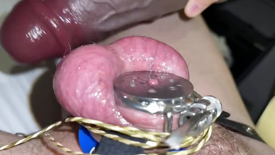 Sedy Ladyboy does a Thousand Ball Plappies while gooning for the BNWO