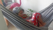 Pratinjau video