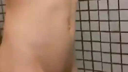 anal fiş
