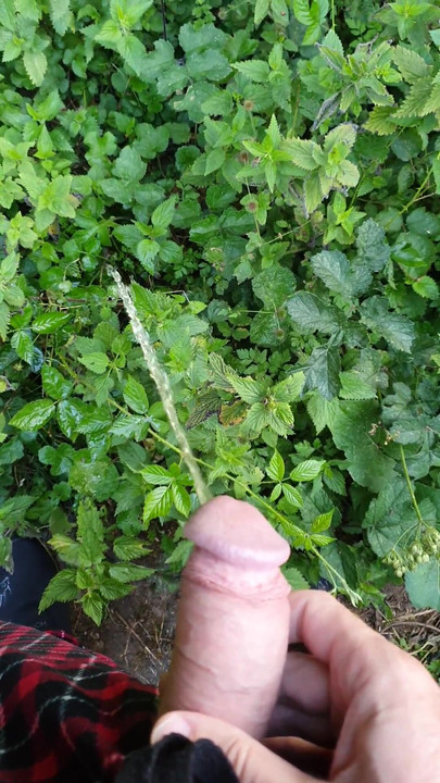 Pissing in the field