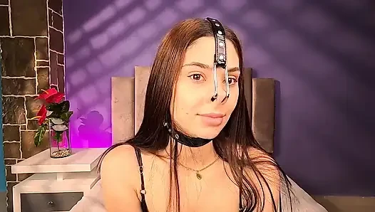 Hidung babi arpone