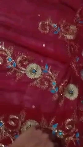 My step mom sexy red saree