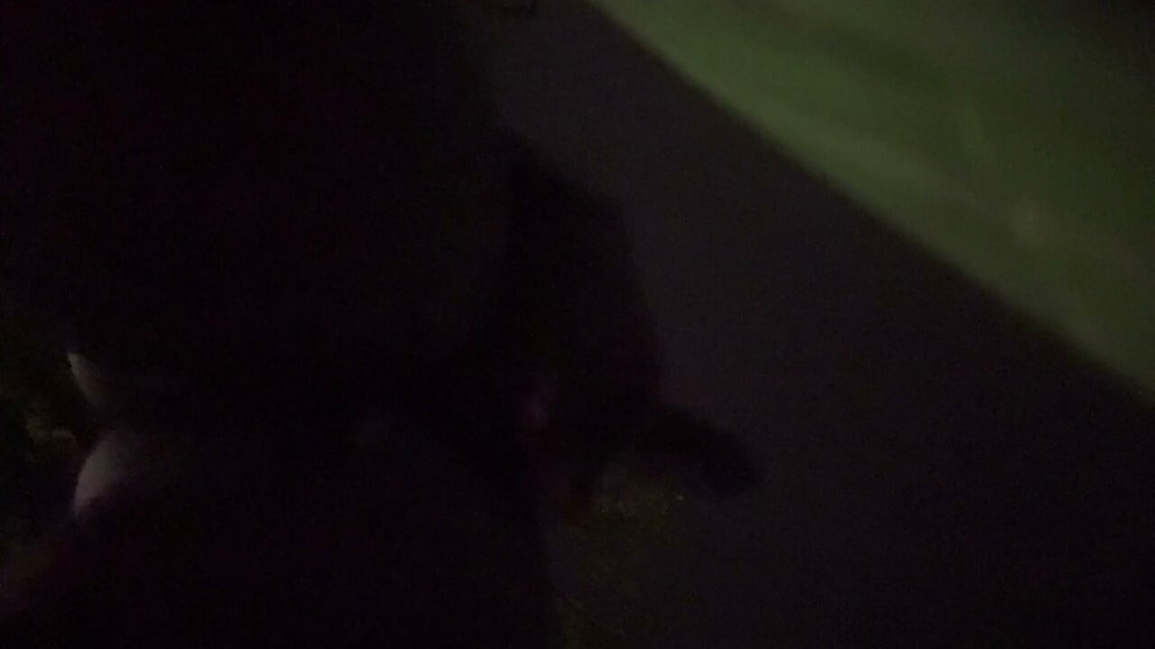 Fooling Around At Night Outside On The Sidewalk Fully Naked Final Part 5 Where I Nut On Yo Face