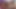 Trio of bisexual college girls, give each other Christmas sex toys