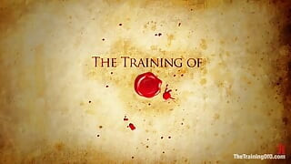 The Training of O by Kink
