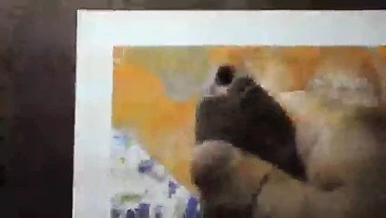 gaf üzerinde Cumming! keyfini çıkarın.