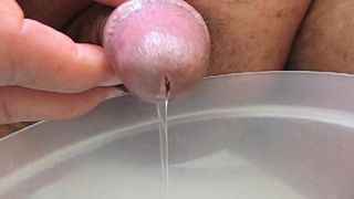 Pequeno pau asiático fazendo xixi no intestino