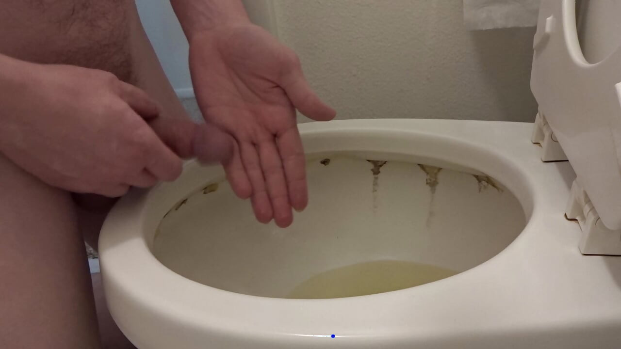 Piss and toilet play