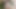 Your Romantic Date with Boy from Tinder big Dick cum