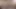 Lampwick uncut 2XL, Lampwick 3XL, ElRey XL, deep fuck in my horny Ass - Hankeys Dildo anal - Studio Look - Prolapse