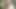 プレイボーイセクシーモデル