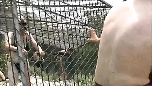 Inglese Slutty Hairy MILF Looking for Big Cocks to Get Fucked in the Park