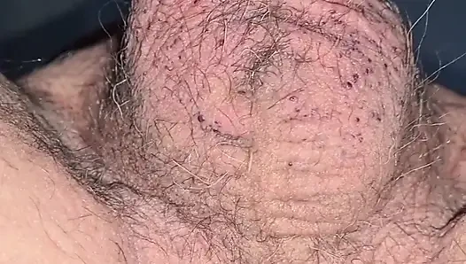 Hairy and Shaved