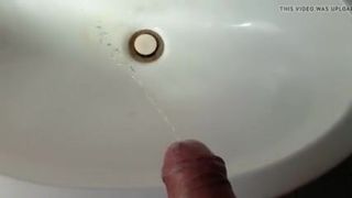 Pee in a friends sink