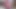 Камера Tad Pole В Оргии Exxxotica С 5 Крошками И 5 Мужиками