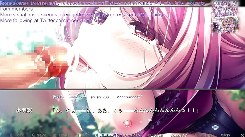 Hakoniwa route1 scéna 1-7