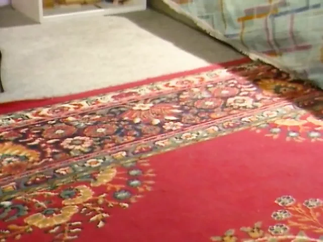 ibylle Rauch – Born for Love Teil 2