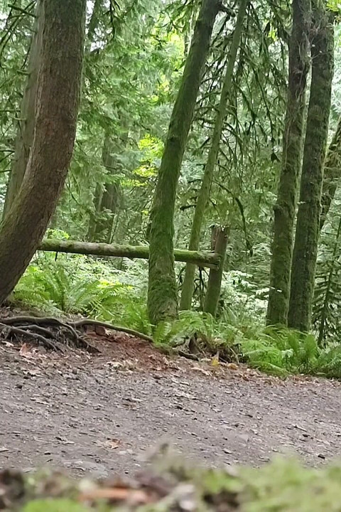 Desperate Waterfall