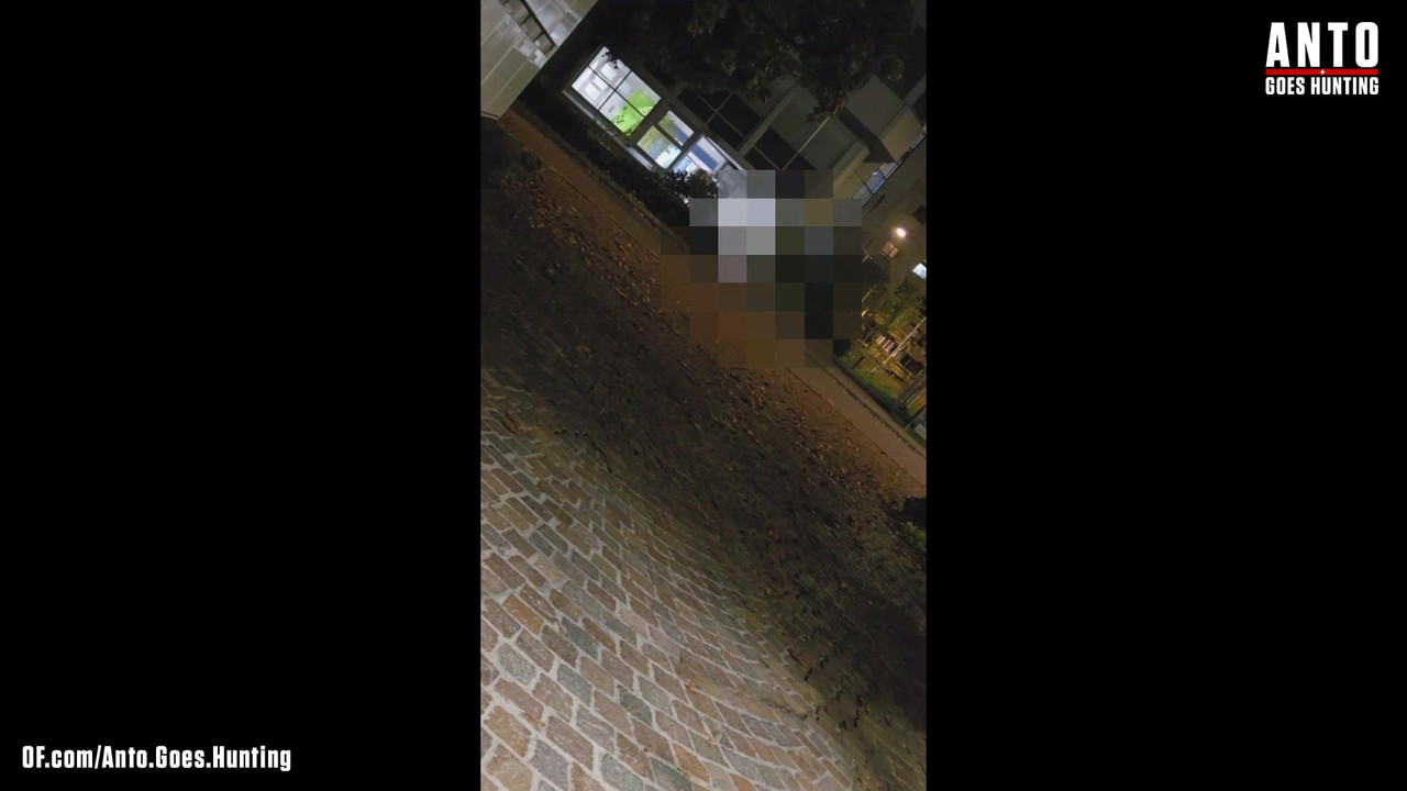 另一个保安走近并说服