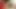 Loona luxx, Mike Angelo, Lauro Giotto Euro anal, doppelter Fick-Creampie, Outdoor-Zigeunerin, sexy Schlampe wird hardcore gefickt, Teaser3