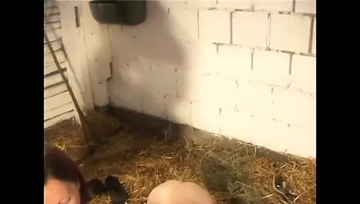 Cewek sange ini didobel penetrasi di peternakan sampai dicrot di mulut