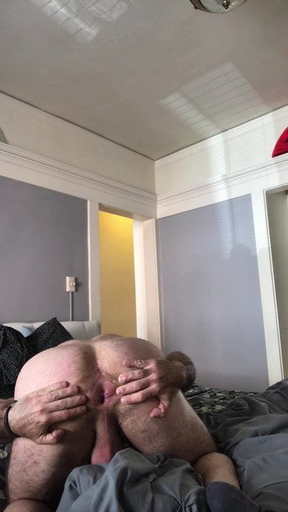 Sexy bear