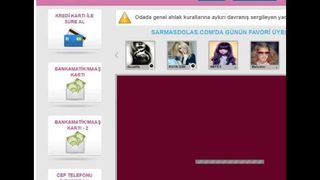 ugurbocegi34  beyzam com     kartanesi  sarmasdolas net