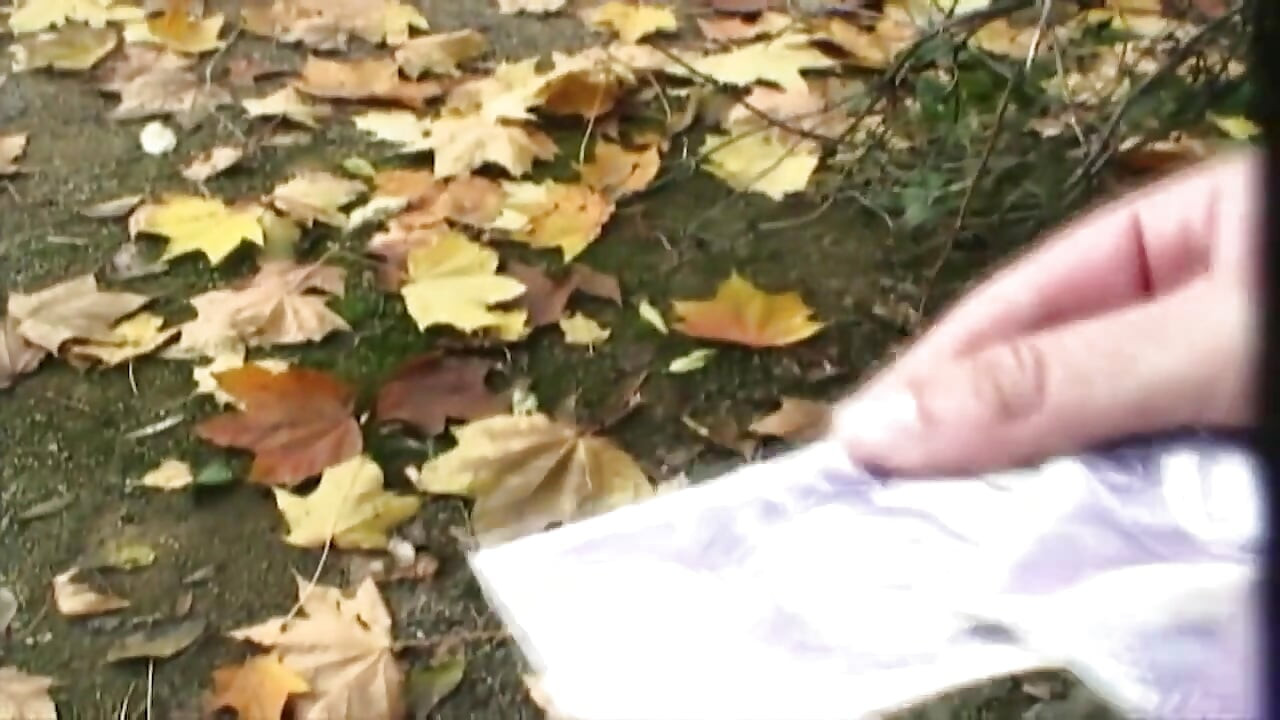 Teenenger Fucked in the Park and Squirted in Mouth