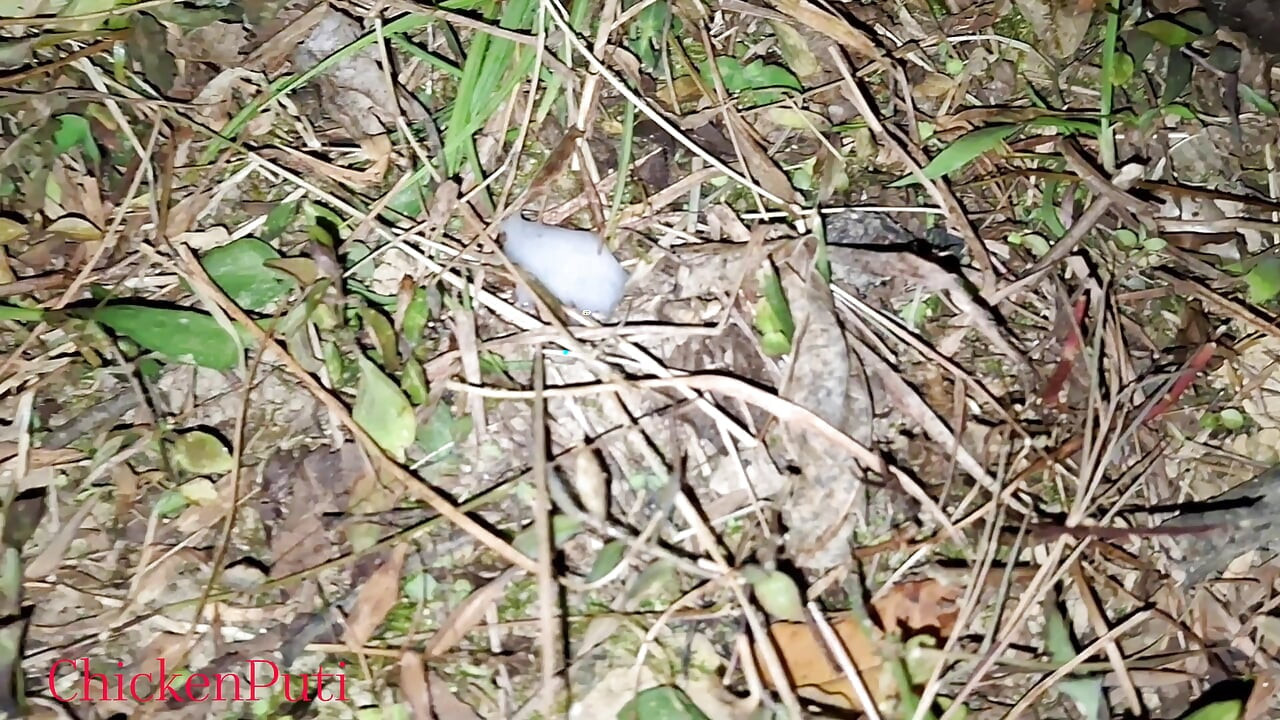 Seks hutan tengah malam, seks luar dengan audio yang jelas, video seks Nepal baru