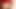 Maja Amateur  's facial