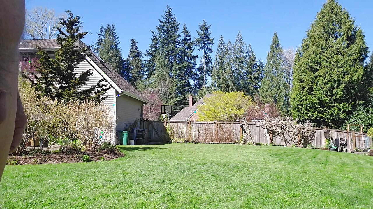 April Backyard Sunshine