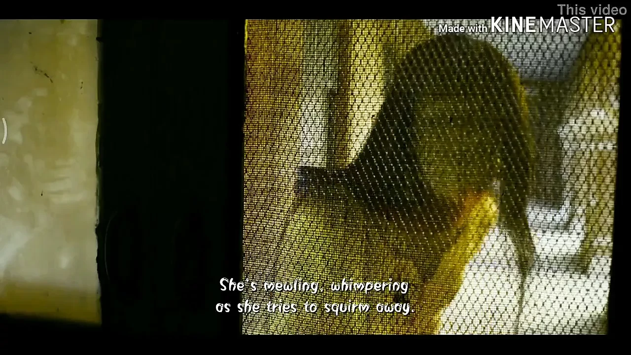 Scene di sesso romantiche della serie Mirzapur 1