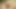 Yalnız orta yaşlı seksi kadınlar açık havada güneşin altında maceracı oluyor