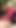 Cinsel kedi sikme lezbiyen femdom video ücretsiz porno ile arya | Klip 1